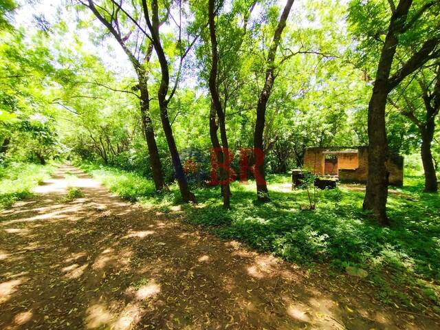 #cbr20 - Finca para Venta en Mateare - Managua - 3