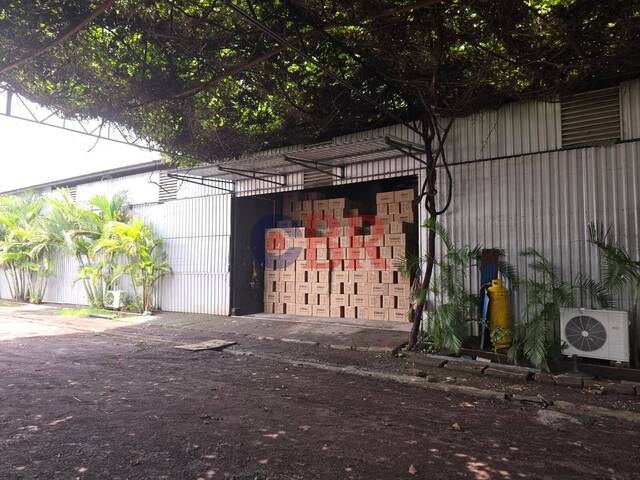 #cbr65 - Bodega para Alquiler en Managua - Managua - 1